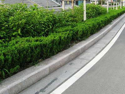 河南路沿石價格_日照杭評石材