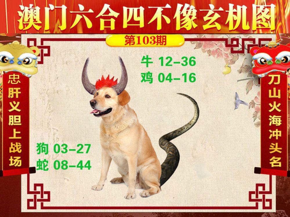 2O24澳门天天开好彩大全