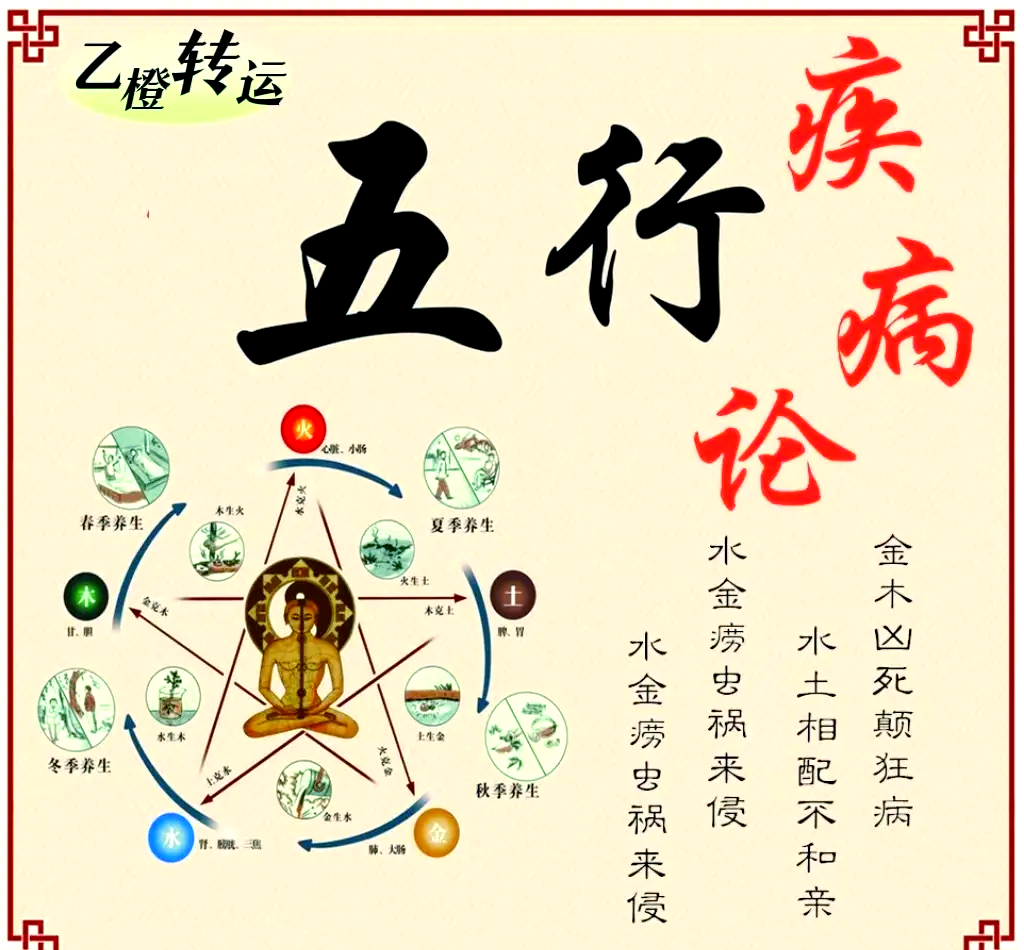 科普展现:五行养生（五行养生图片）