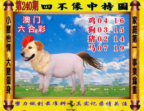 2024澳门正版精准资料351o