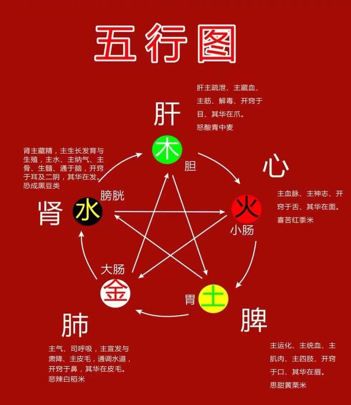 科普展现:优五行属性什么（优的五行是什么）