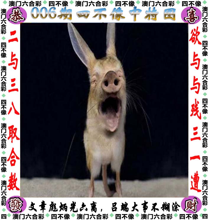 刘伯温免费精准八肖八码