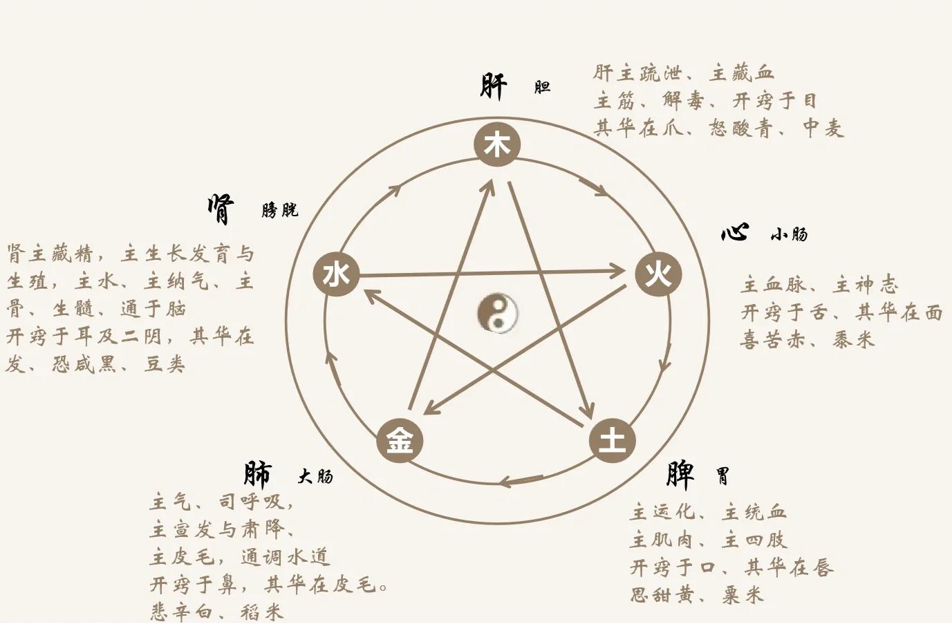科普展现:肝对应五行（肝对应五行是什么）