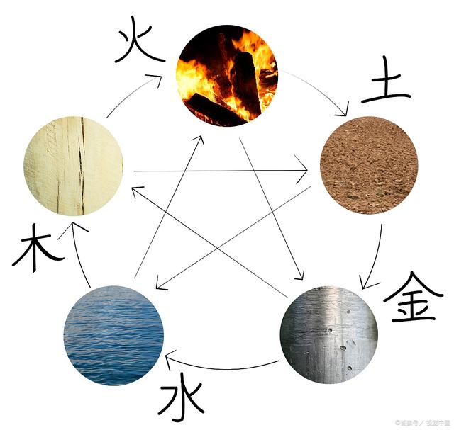 五行中木代表什么