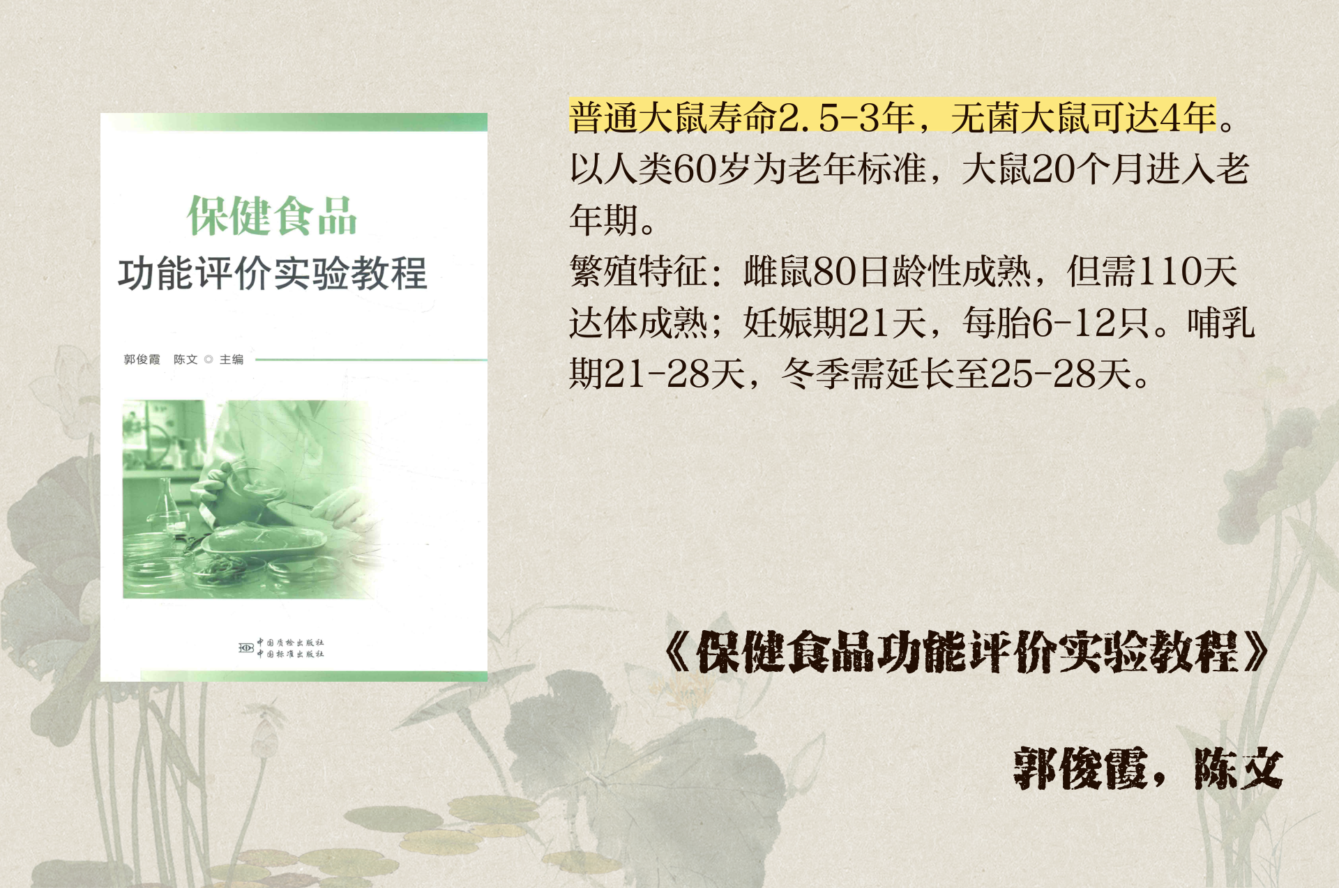 科普展现:老鼠寿命（老鼠能听懂人话吗）