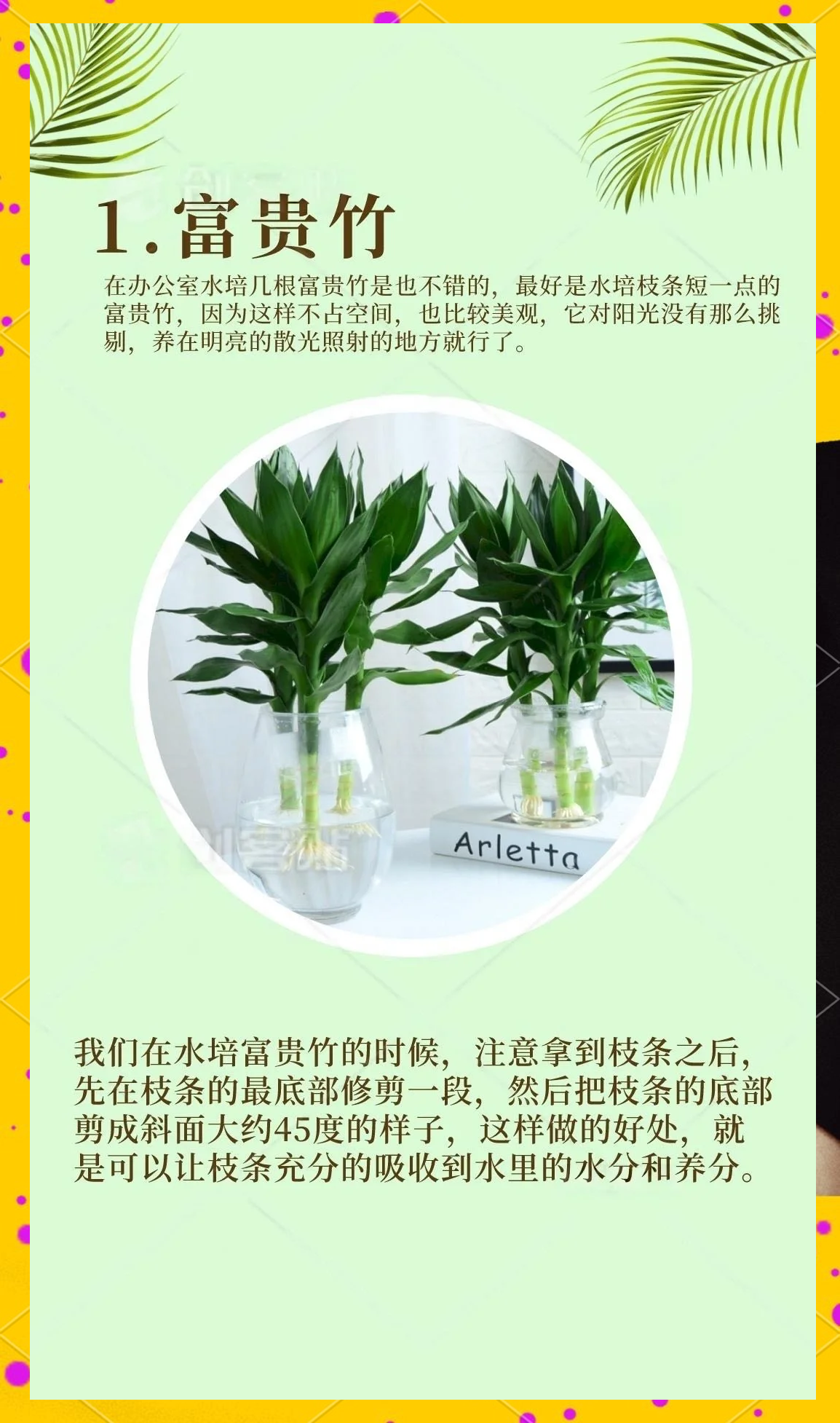 科普展现:办公室摆花忌讳（办公室摆花位置）