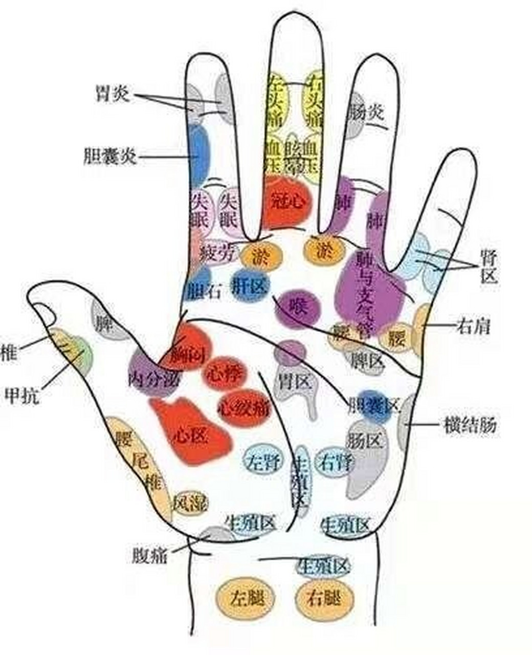 手掌部位名称