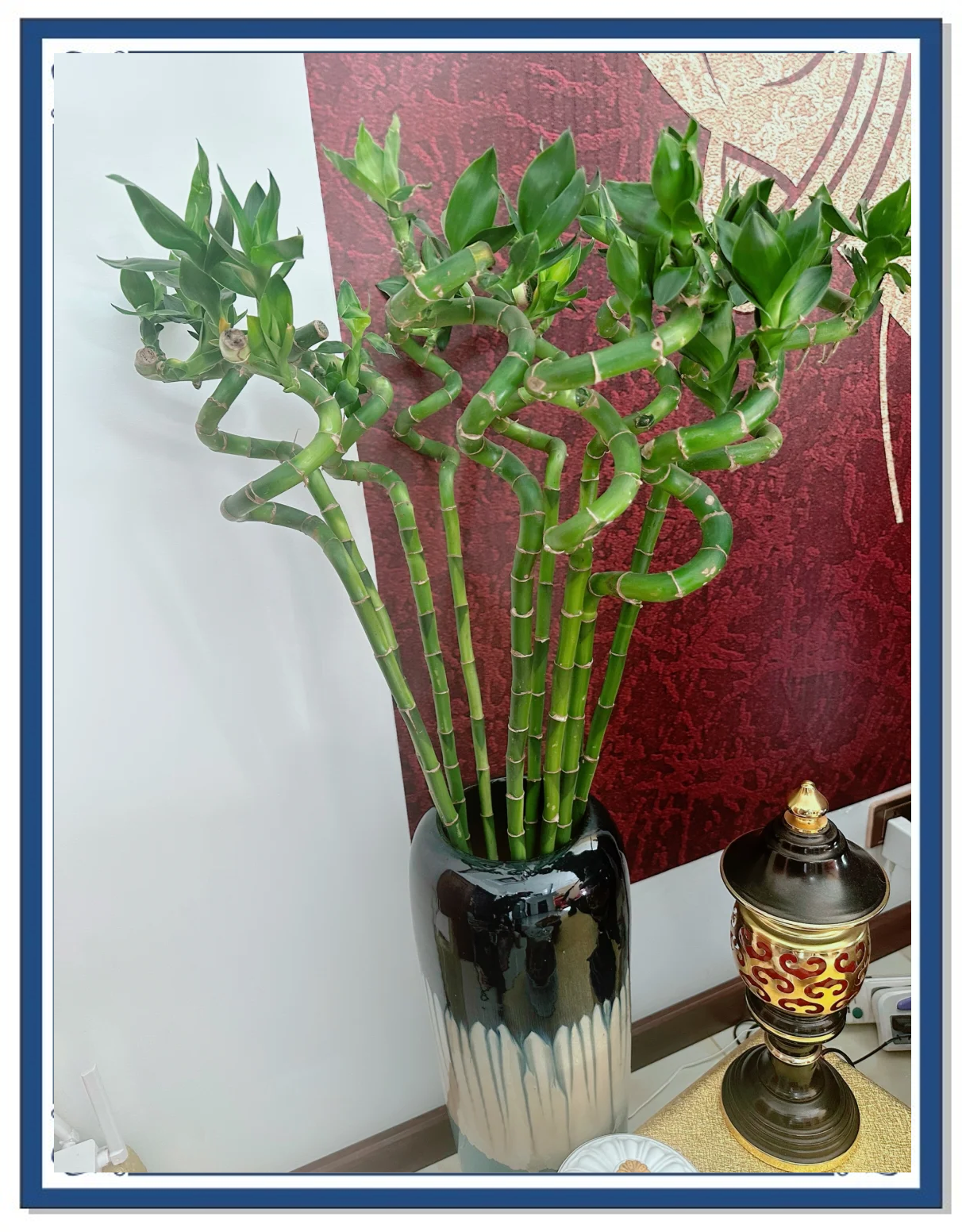 科普展现:鲜花风水禁忌（鲜花风水禁忌图片）