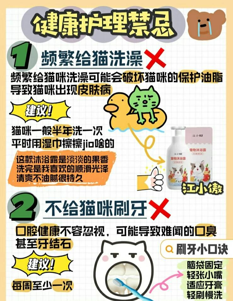 家里养猫风水禁忌