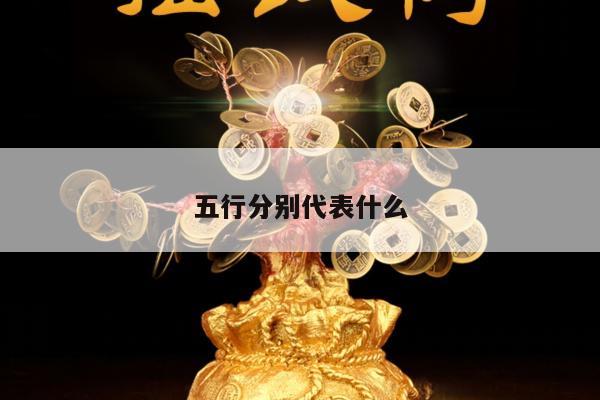 五行分别代表什么