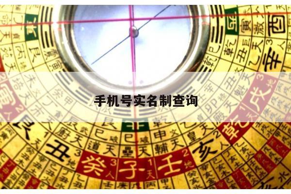 手机号实名制查询