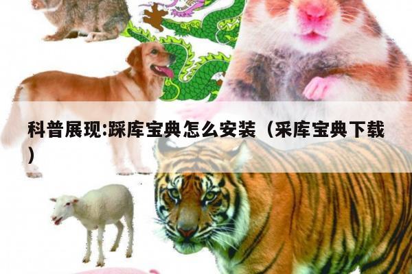 科普展现:踩库宝典怎么安装（采库宝典下载）