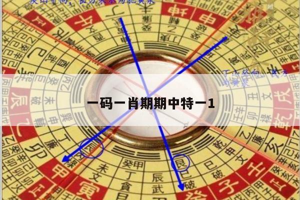 一码一肖期期中特一1