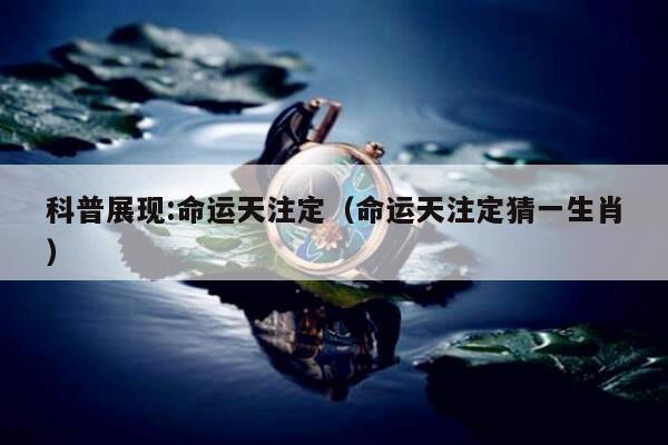 新闻中心 第31页