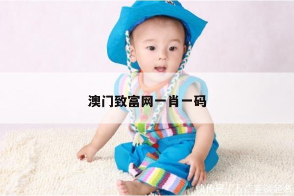 澳门致富网一肖一码
