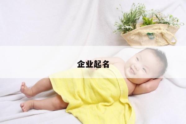 企业起名