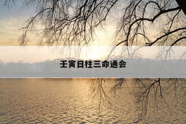 壬寅日柱三命通会