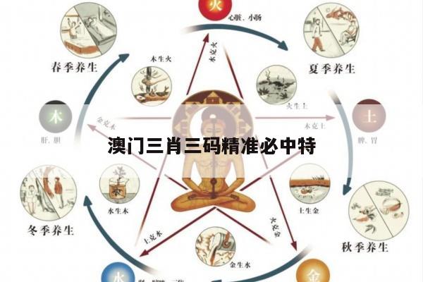 澳门三肖三码精准必中特