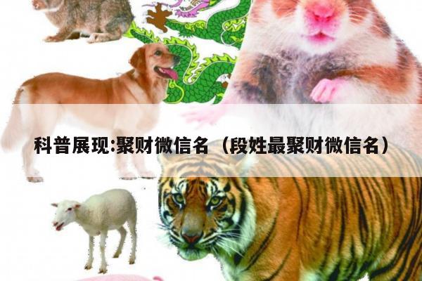 科普展现:聚财微信名（段姓最聚财微信名）