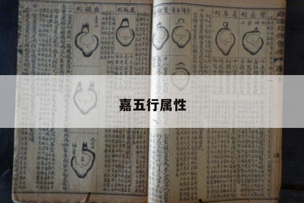 嘉五行属性