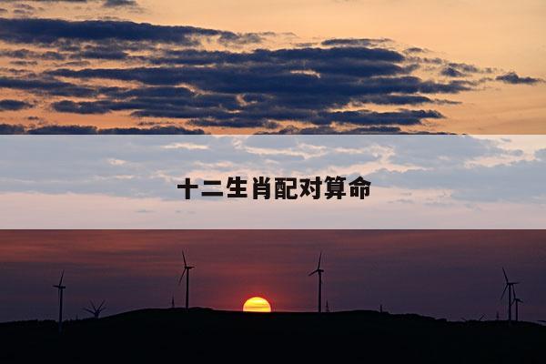 十二生肖配对算命