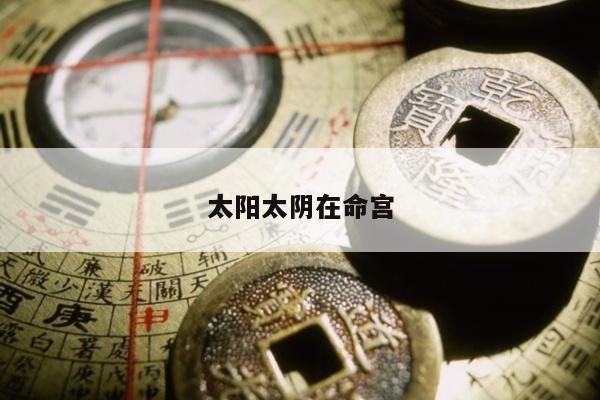 太阳太阴在命宫