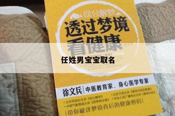 任姓男宝宝取名