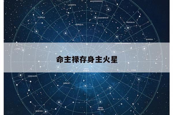 命主禄存身主火星