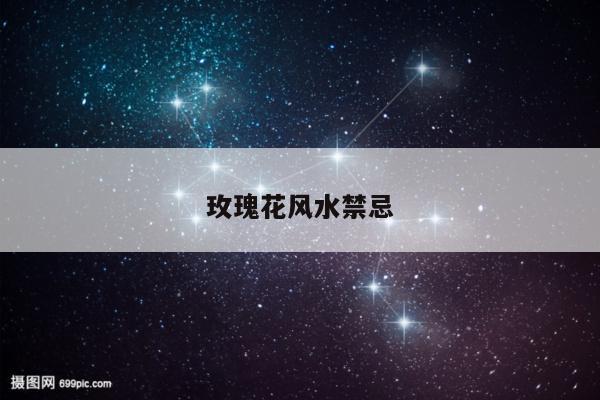 玫瑰花风水禁忌