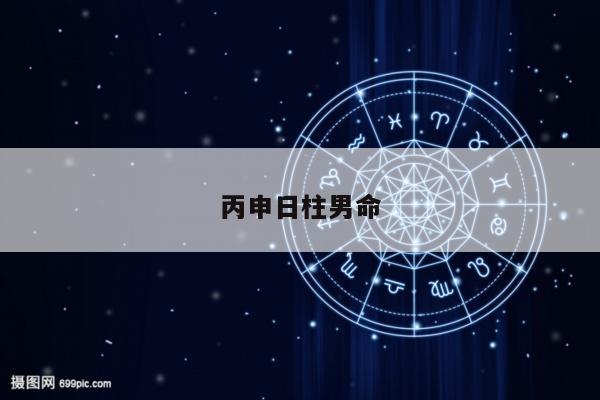 丙申日柱男命