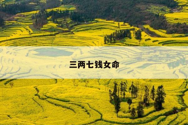 三两七钱女命