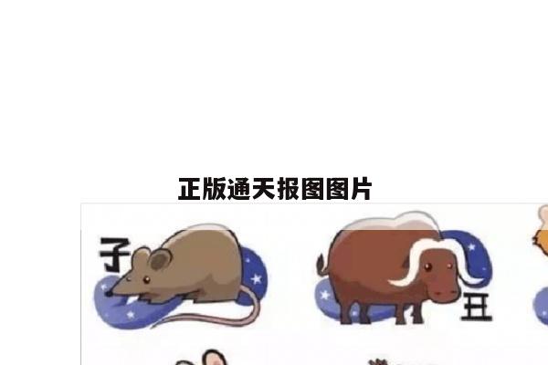 正版通天报图图片