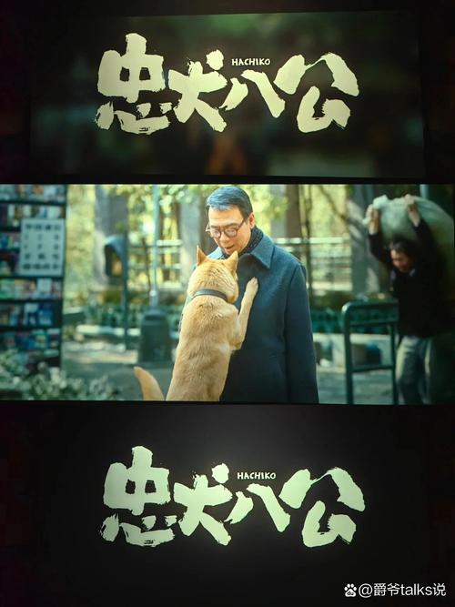 忠犬八公的故事,忠犬八公的故事电影免费观看完整版