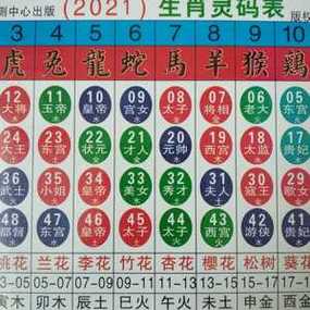 澳门今晚出什么玻色呢,澳门码今晚出什么波色