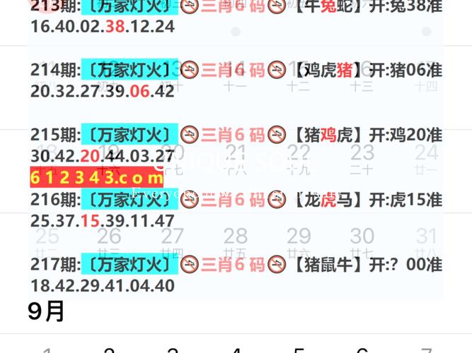 新港澳开奖历史记录,新港澳开奖历史记录查询官网