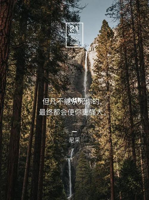 什么不会杀死你,什么不会杀死你 电影