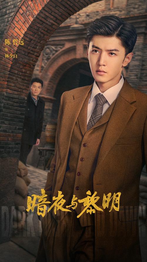 电视剧暗夜与黎明在线播放,电视剧暗夜黎明在线播放高清