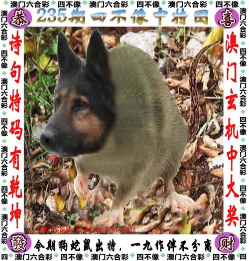 客户服务 第25页