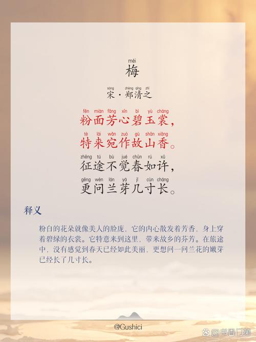 2024澳门正版梅花诗,2024澳门正版梅花诗330期的