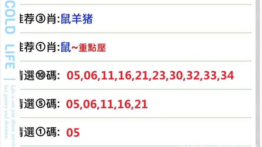 澳门精准准资料大全,一肖一码免费,公开