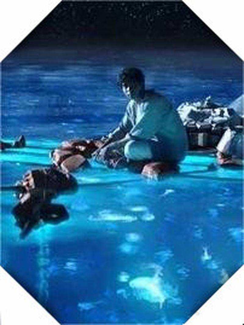 少年派的奇幻漂流,少年派的奇幻漂流解析