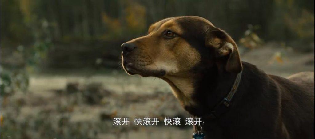 我的性功能障碍史,我的性功能障碍史+迅雷下载