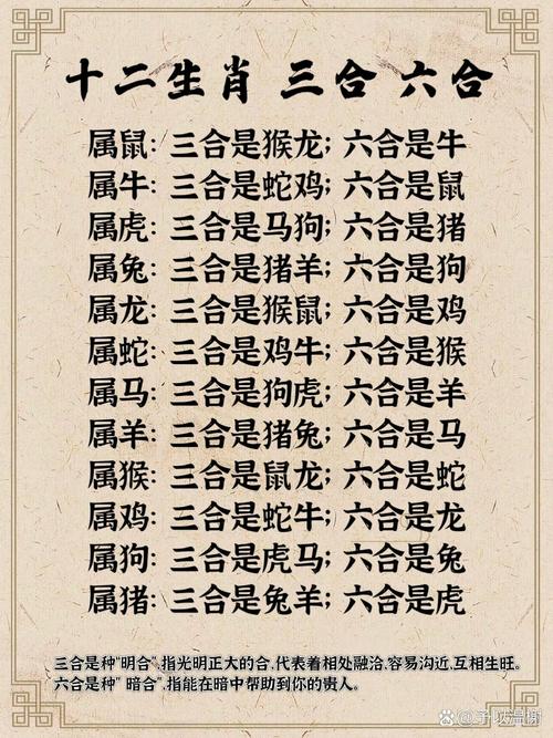 澳门特马是什么,澳门特马是什么生肖