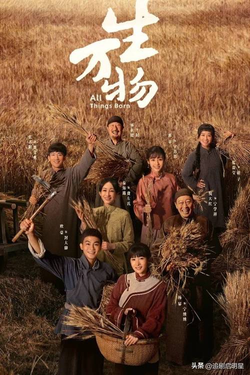 免费在线看电视剧,在线播放电视剧免费观看