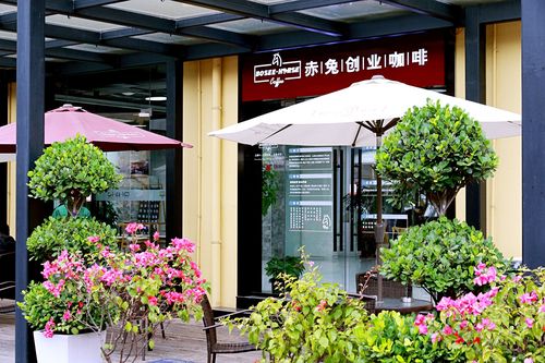 澳门赤兔版资料网站2023,澳门资料网-赤兔版