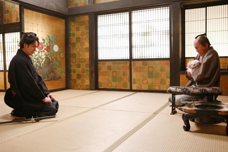 猫侍 剧场版,猫侍 剧场版 电影