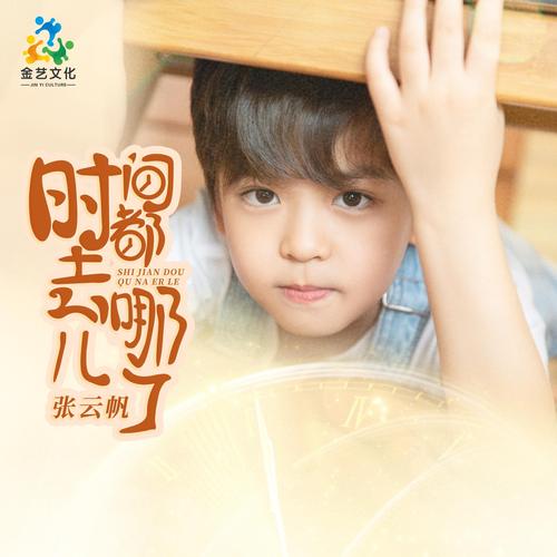 时间去哪儿了,时间去哪儿了原唱歌曲