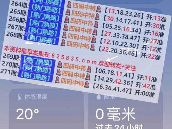 2024年新奥特开奖记录查询表,2024年新奥特开奖记录查询表图片