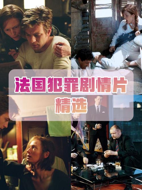 法内情大结局,法内情大结局 电影