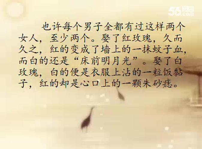 红玫瑰白玫瑰经典语录,张爱玲红玫瑰白玫瑰经典语录